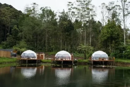 Ranca Upas, the Charm of Beautiful Natural Beauty in Bandung
